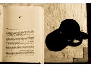 Imagen del men&uacute;: Cap�tulos de libros